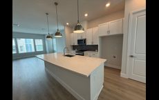 Apex at Seminole Heights: Tampa, Florida - David Weekley Homes