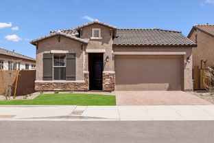 Sandlily - Harvest – Meadows Collection: Queen Creek, Arizona - David Weekley Homes