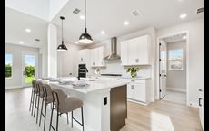 Waterset Tradition Series: Apollo Beach, Florida - David Weekley Homes