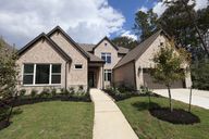 ARTAVIA 65' Homesites por David Weekley Homes en Houston Texas
