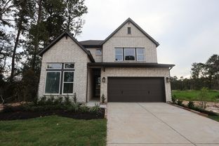 Antonio - ARTAVIA 45' Homesites: Conroe, Texas - David Weekley Homes