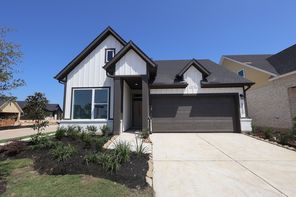 17330 Blissful Block Court (Genoa)