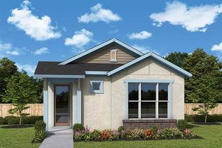 Seaback - Laureate Park at Lake Nona - Garden Series: Orlando, Florida - David Weekley Homes