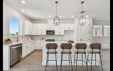 Chapel Crossings - Garden Series: Wesley Chapel, Florida - David Weekley Homes