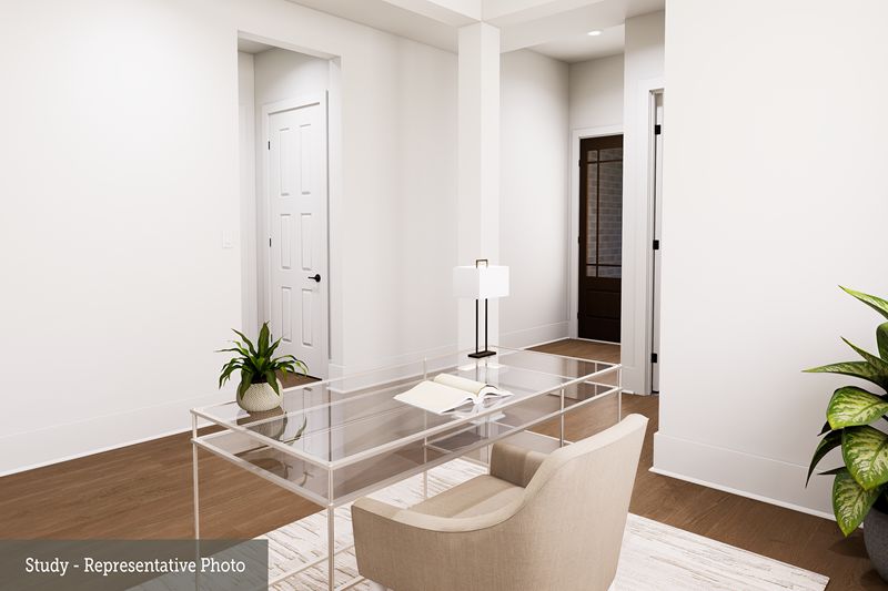 The Crystal Beach - Study