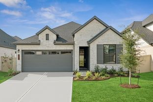 Penmark - Audubon 45' Homesites: Magnolia, Texas - David Weekley Homes