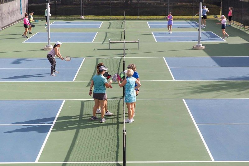 Kissing Tree - Pickle Ball