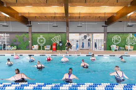 Kissing Tree - Fitness