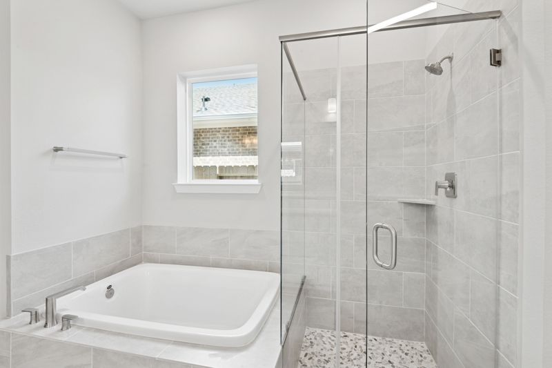 Owner's Bath