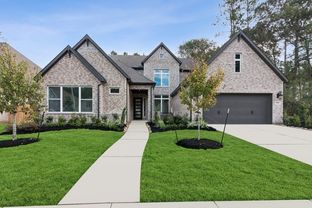 Hagan - ARTAVIA 65' Homesites: Conroe, Texas - David Weekley Homes