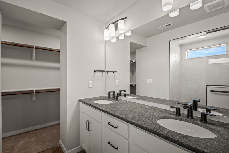 Owner's Bath