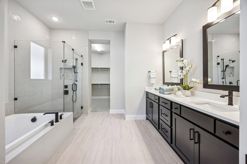 Owner's Bath