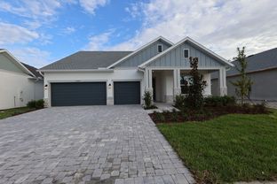 Borrelli - Chapel Crossings – Classic Series: Wesley Chapel, Florida - David Weekley Homes