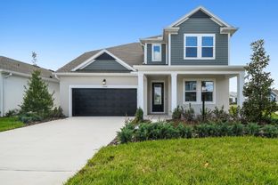 Edie - The Peninsula at Rhodine Lake: Riverview, Florida - David Weekley Homes