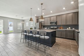 The Peninsula at Rhodine Lake - Riverview, FL