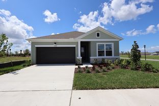 Sanborn - Waterset Tradition Series: Apollo Beach, Florida - David Weekley Homes