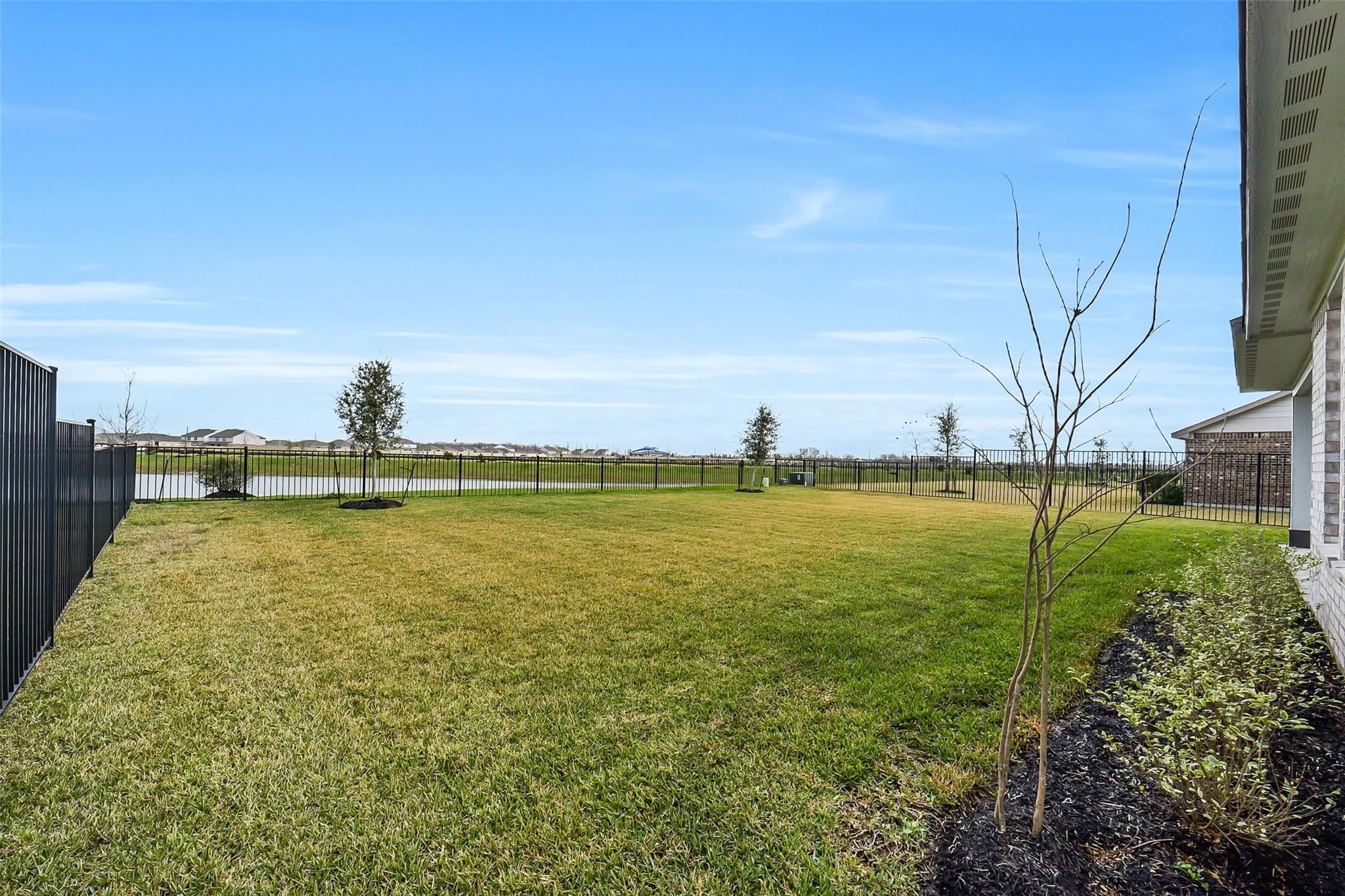 No Caption