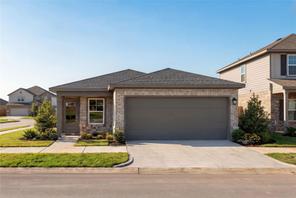 1131 Wildflower Way Drive (The Colorado G)