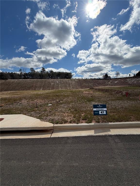 The Rabun A - The Bluffs: Canton, Georgia - Davidson Homes