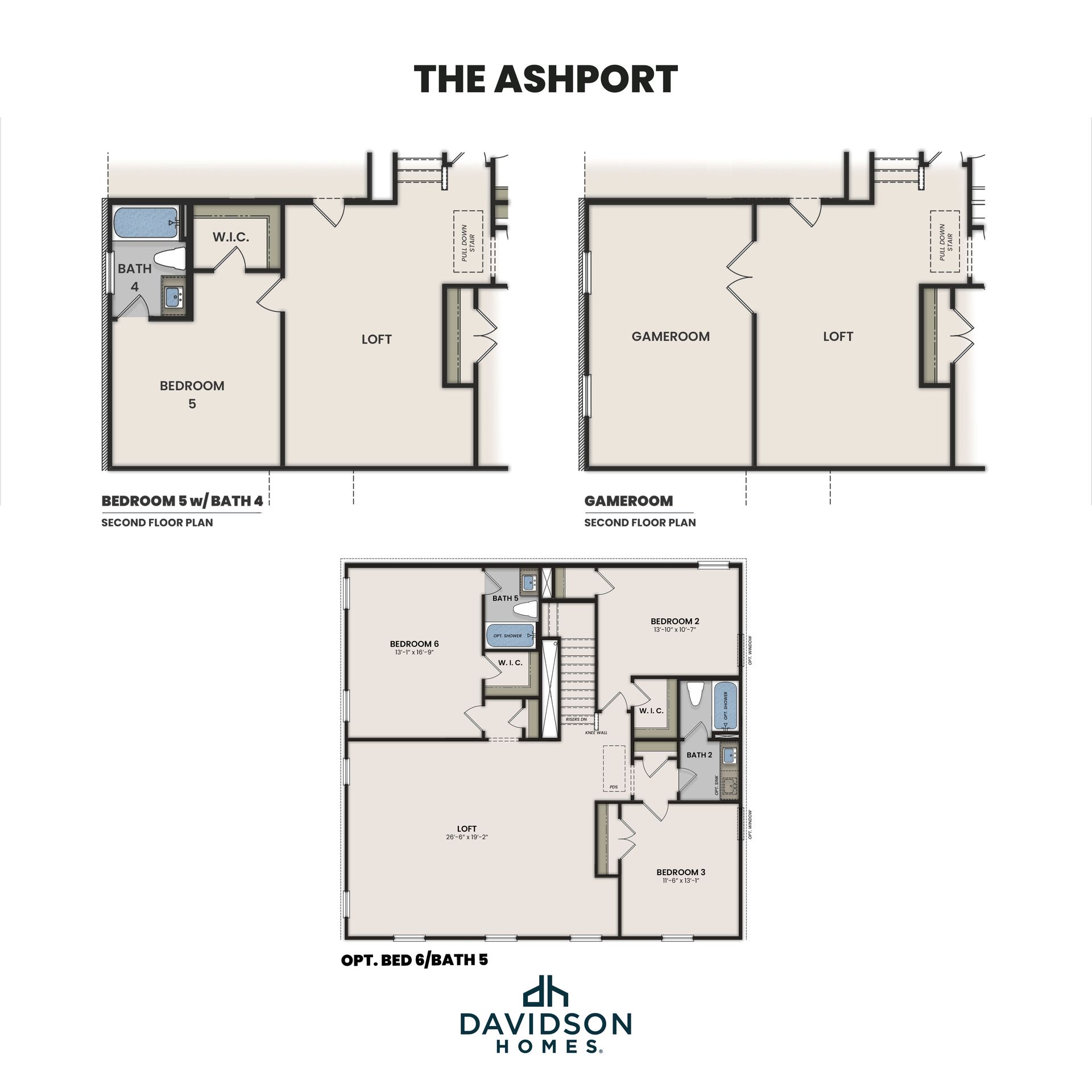 The Ashport Options 2