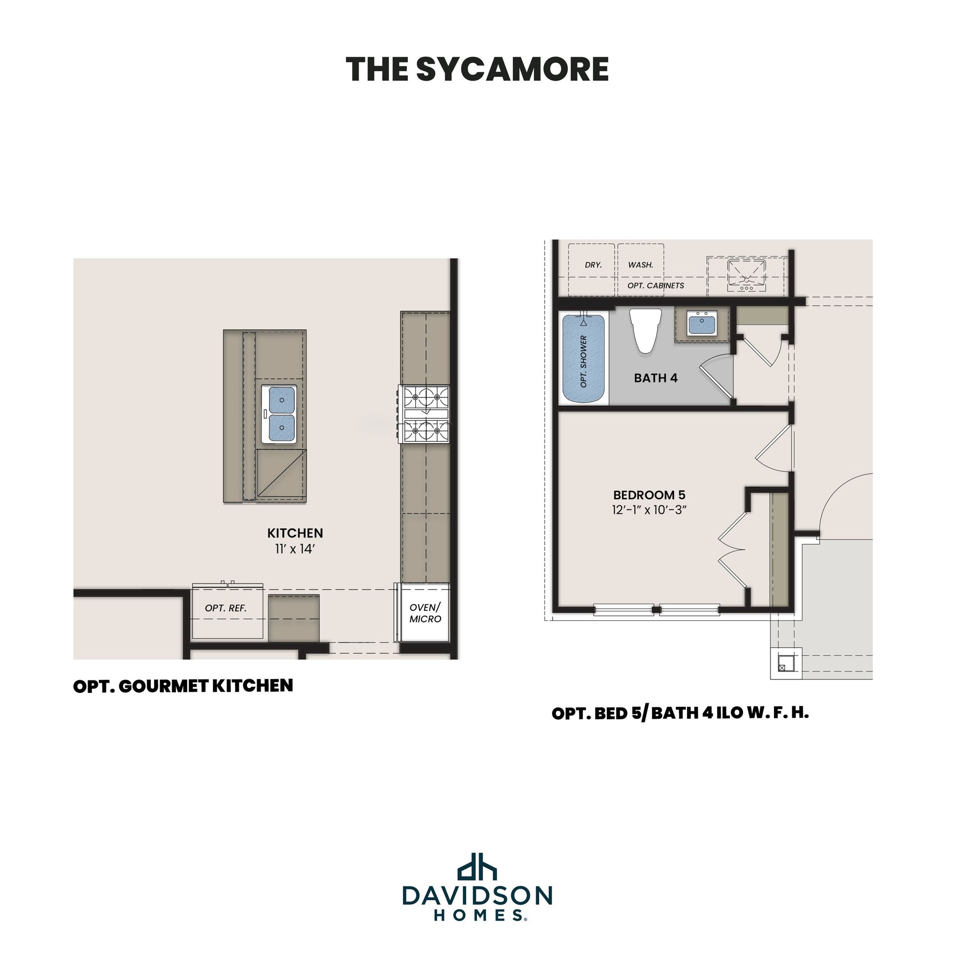 The Sycamore Options 1