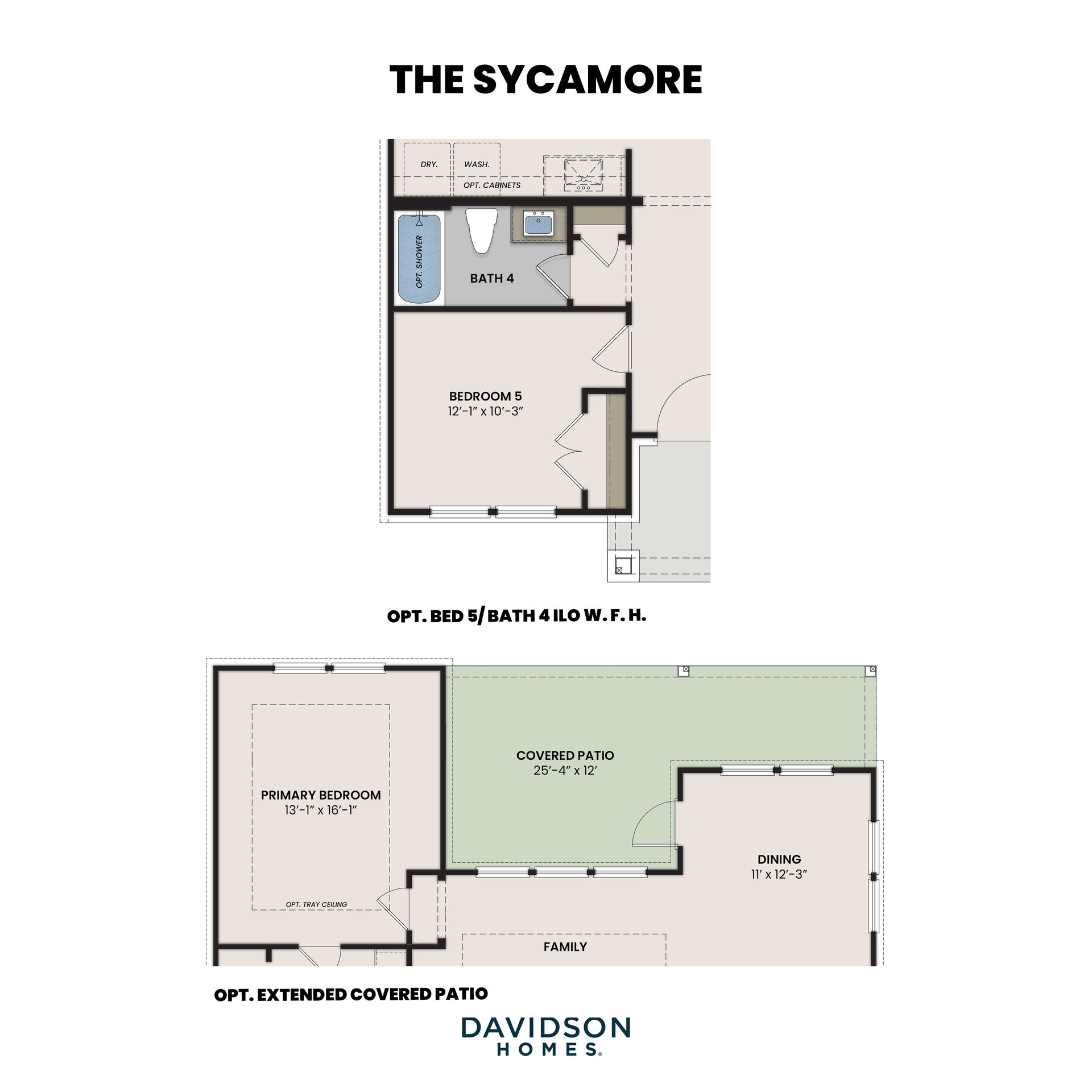 The Sycamore Options 2