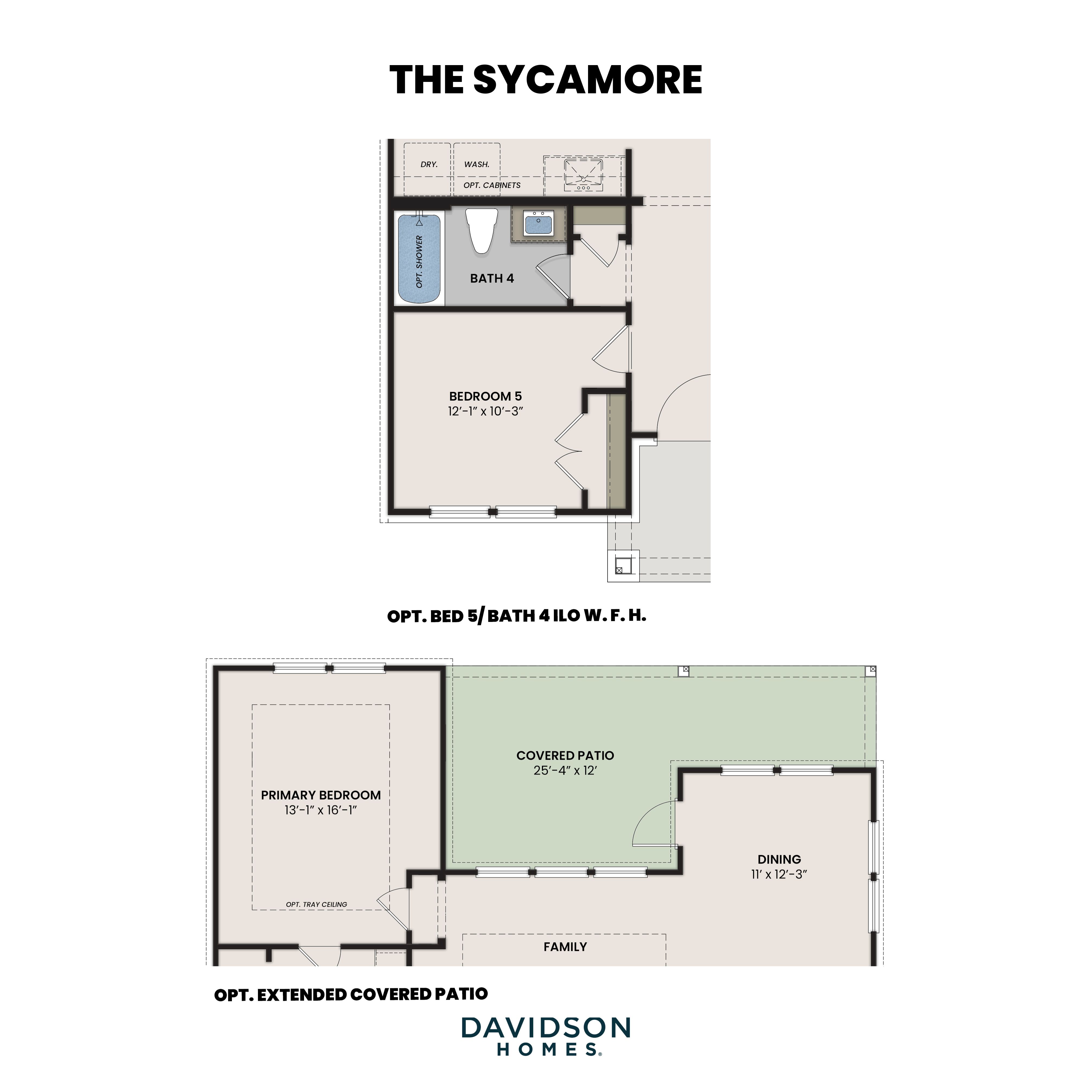 The Sycamore Options 2