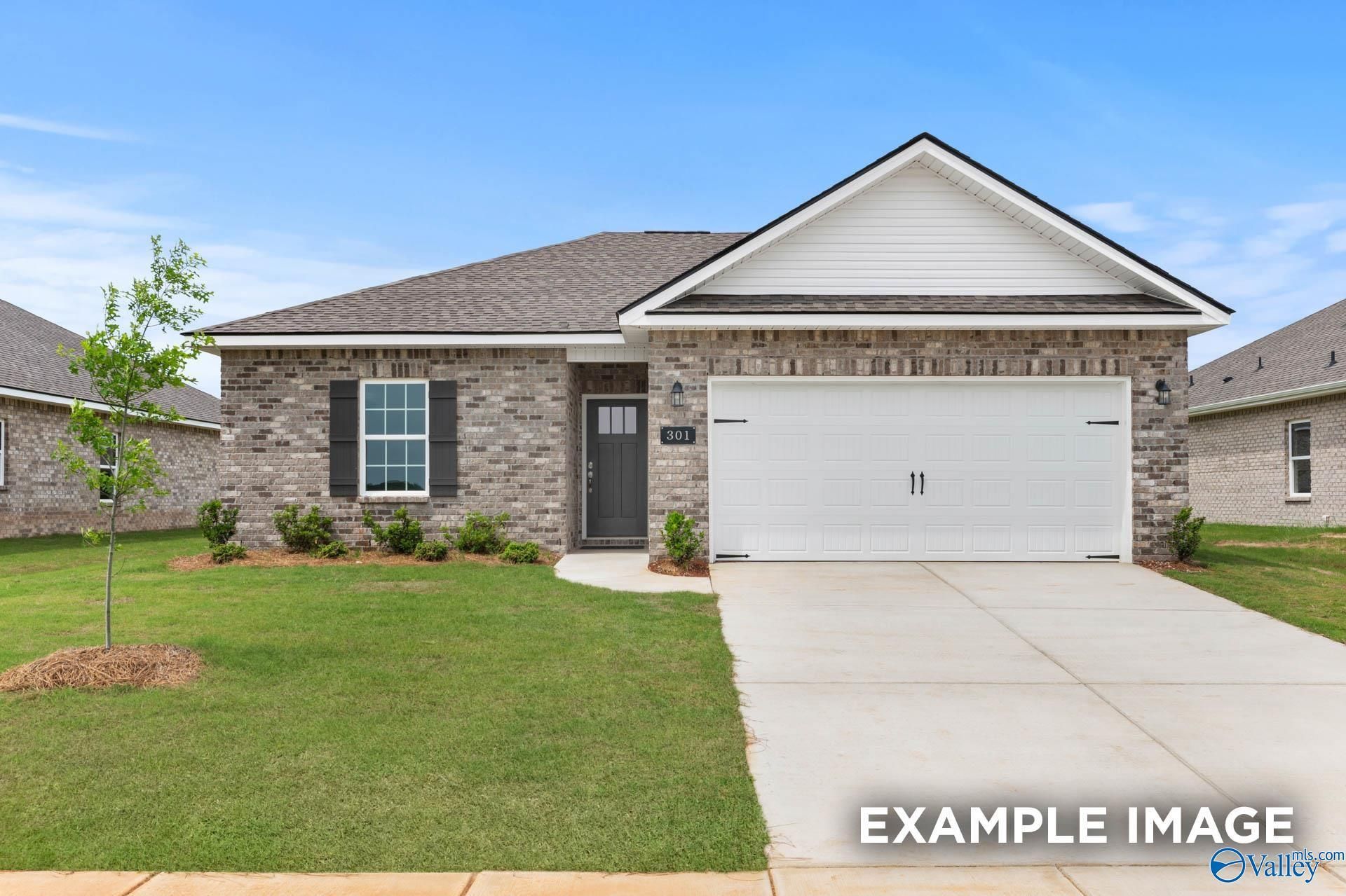 No Caption