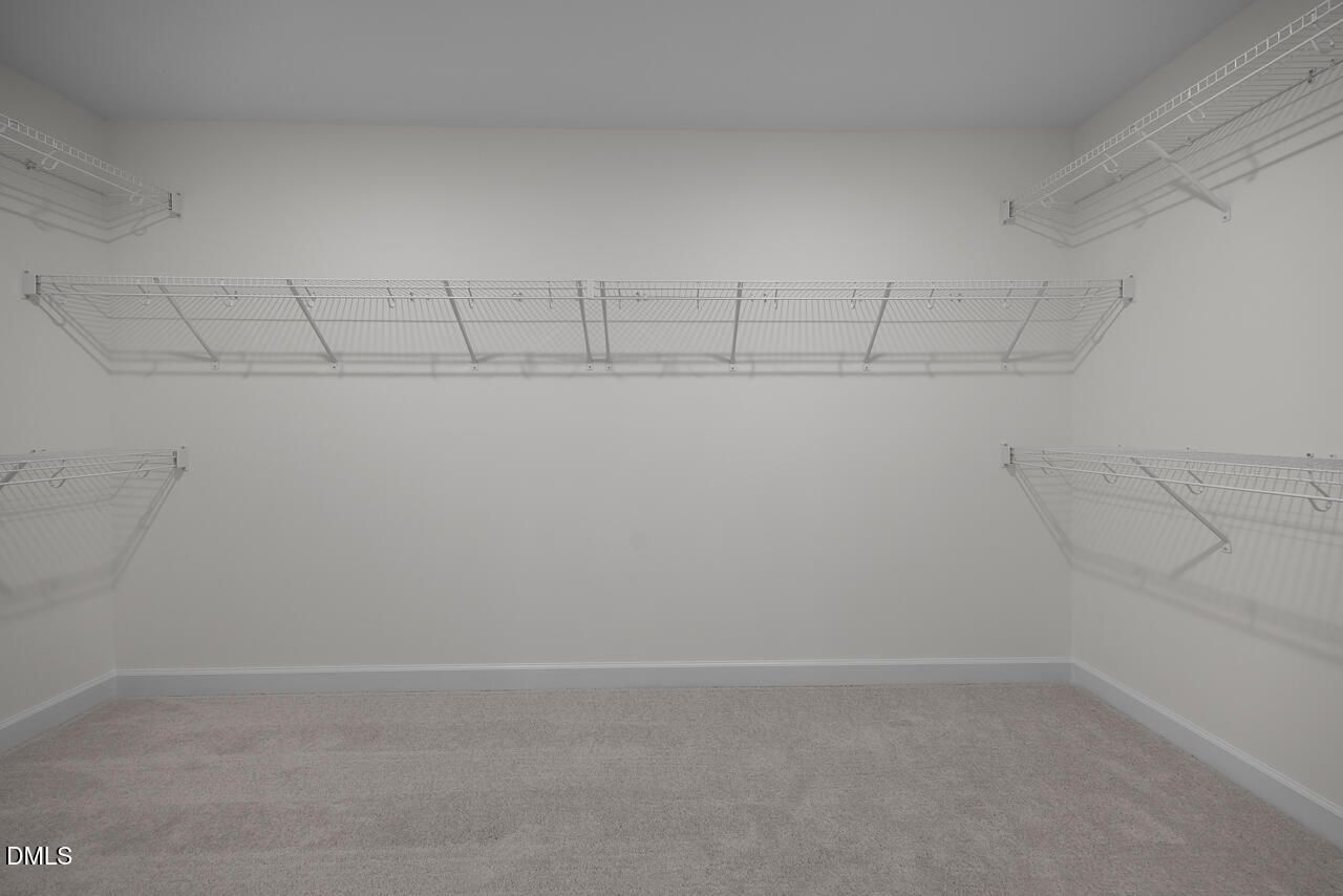 No Caption