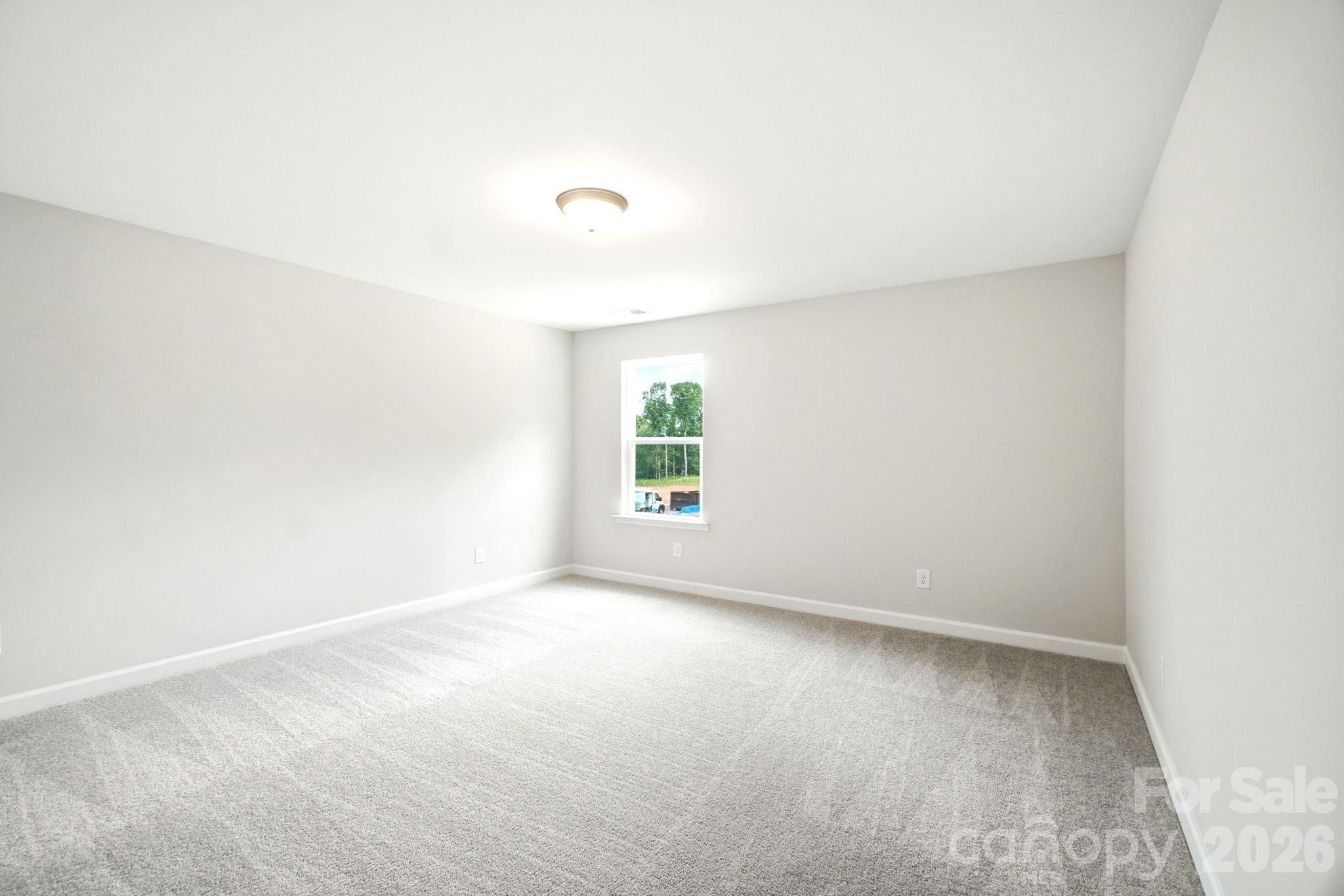 No Caption