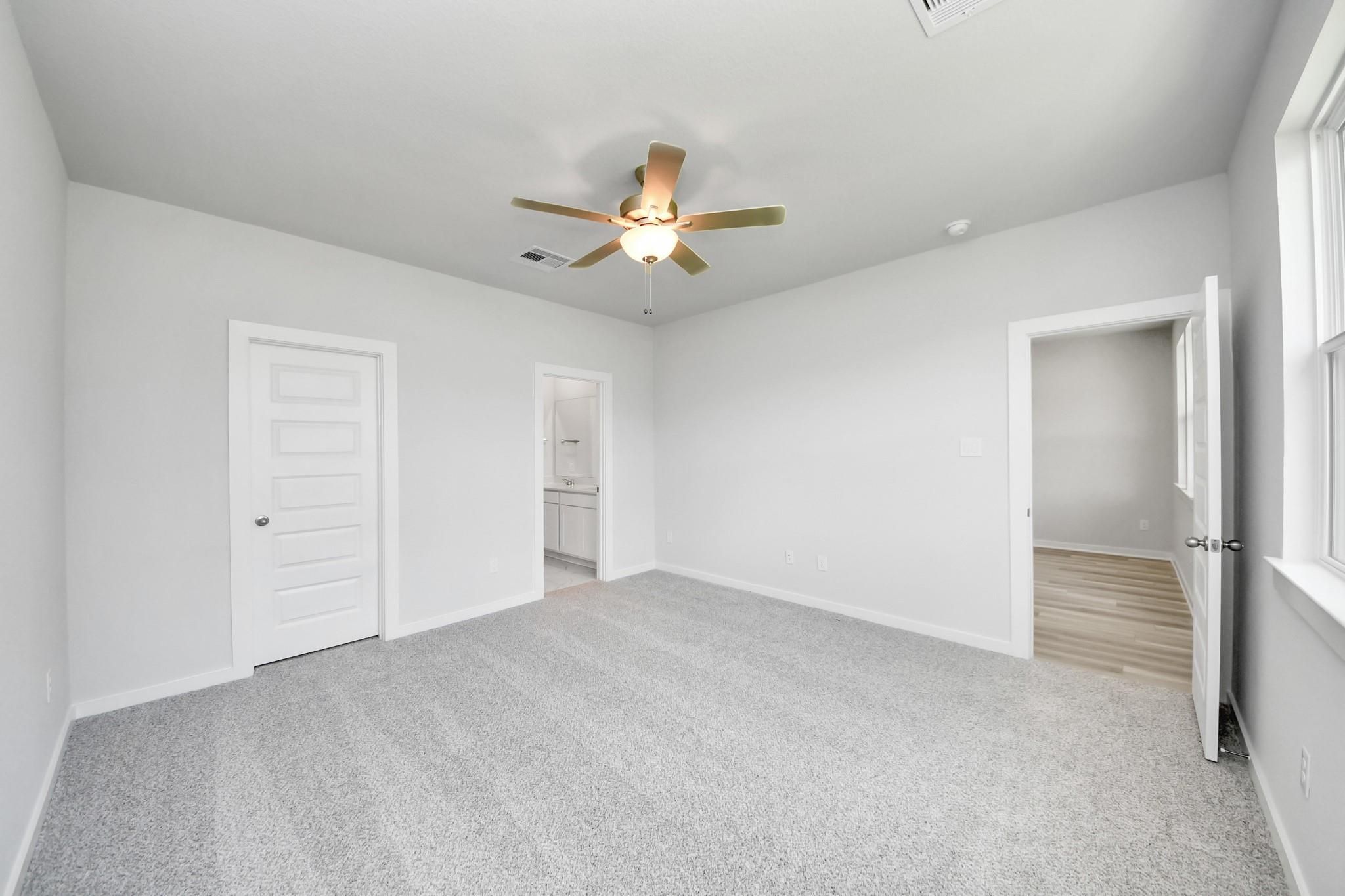 No Caption