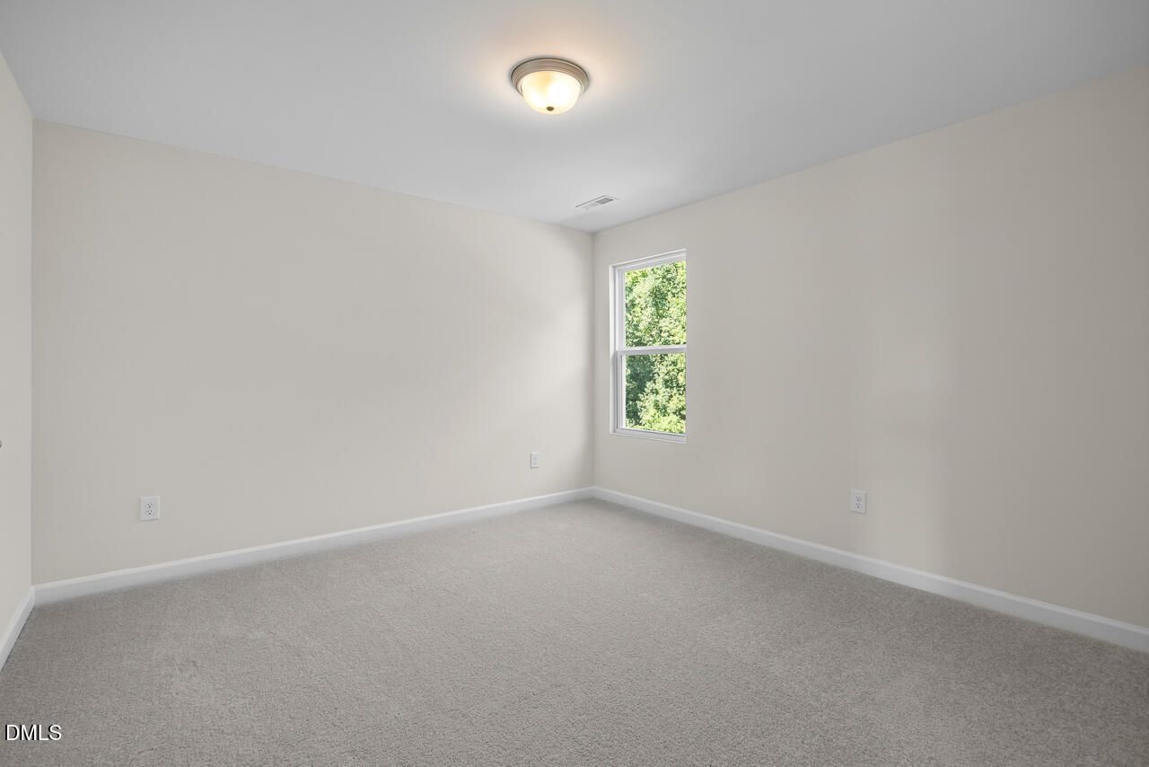 No Caption