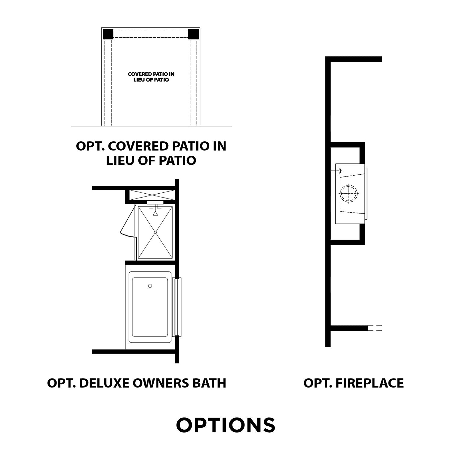 The Gordon A Options