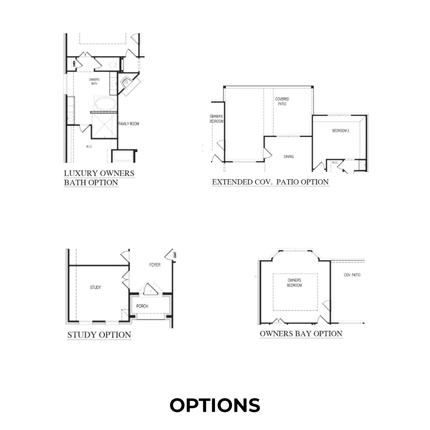 Options