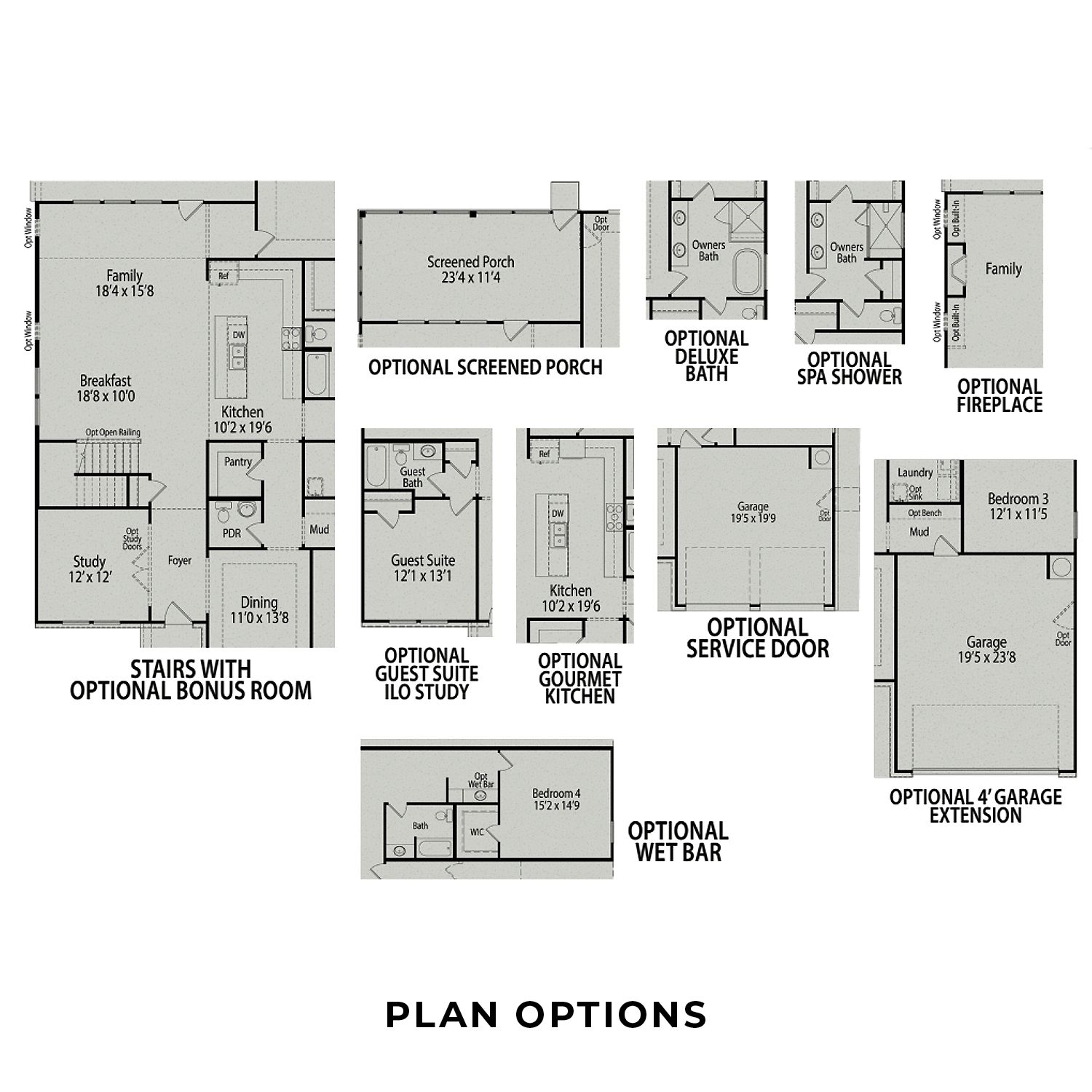 Options