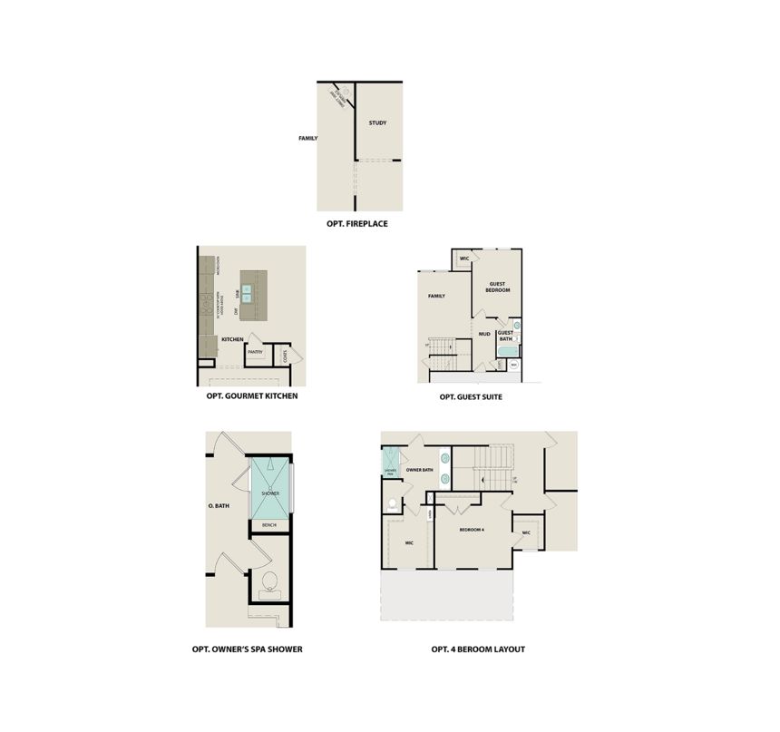 Plan Options