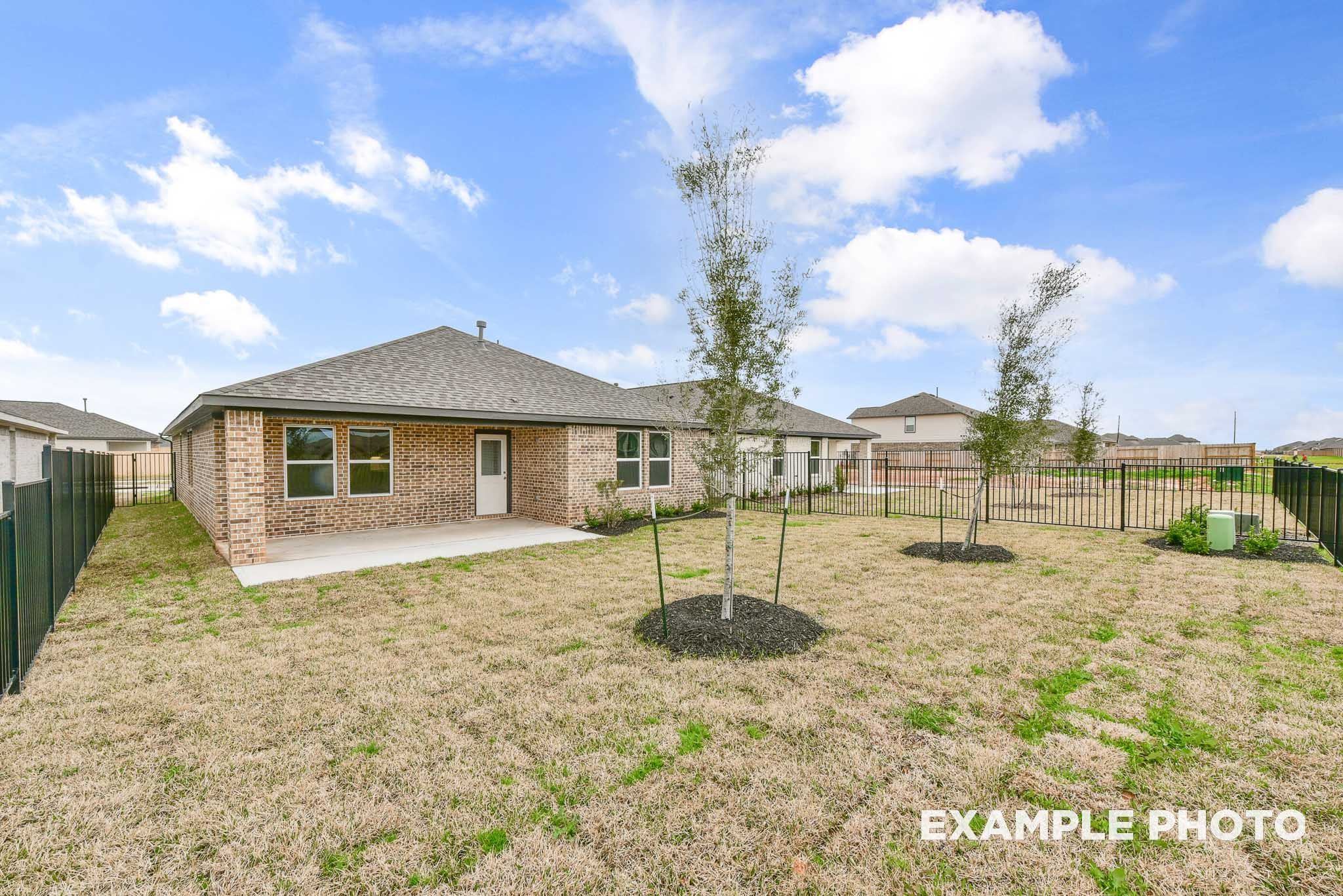 No Caption