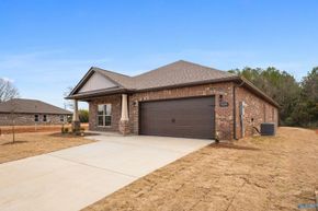 Hollon Meadow by Davidson Homes LLC in Decatur Alabama