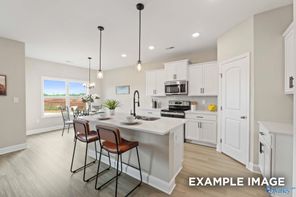 234 Jerrie Lynn Boulevard (The Asheville C)