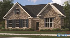 The Meadows in Hampton Cove - Owens Cross Roads, AL