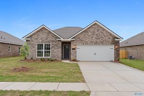 138 Ivy Vine Drive (The Asheville C)