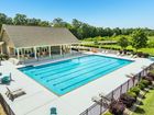The Meadows in Hampton Cove - Owens Cross Roads, AL
