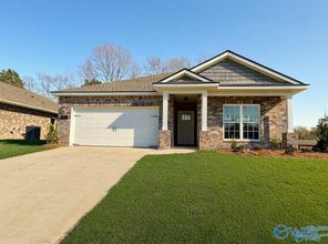 201 Sunny Springs Court (The Franklin B)