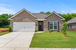 234 Jerrie Lynn Boulevard (The Asheville C)