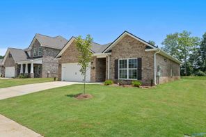 145 Ivy Vine Drive (The Asheville C)
