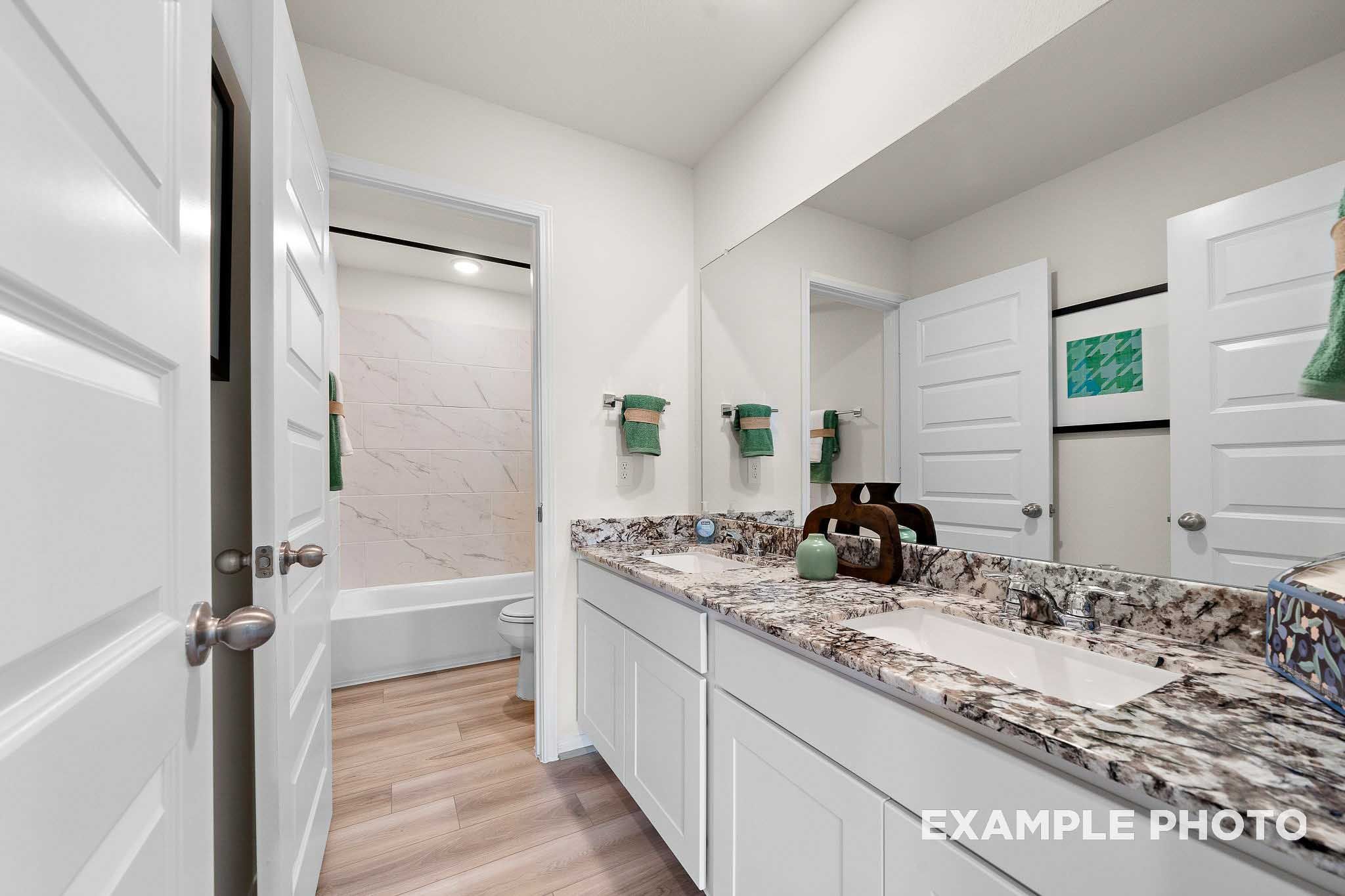 The Tierra Primary Bath