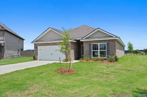29564 Canoe Circle (The Everett)