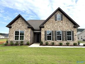 The Meadows in Hampton Cove - Owens Cross Roads, AL
