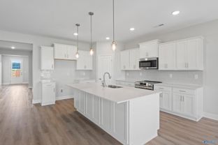 The Harrison B - Pikes Ridge: Meridianville, Alabama - Davidson Homes