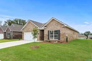 150 Rose Valley Drive (The Asheville C)